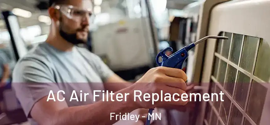  AC Air Filter Replacement Fridley - MN