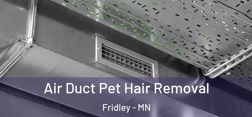  Air Duct Pet Hair Removal Fridley - MN