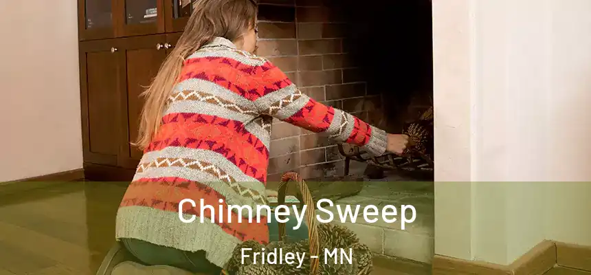  Chimney Sweep Fridley - MN