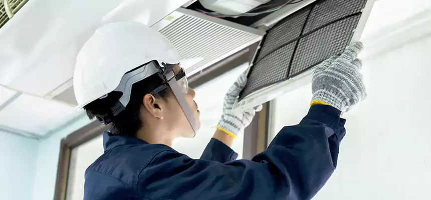 Our Mold & Mildew Removal from Air Ducts Services in Fridley, MN