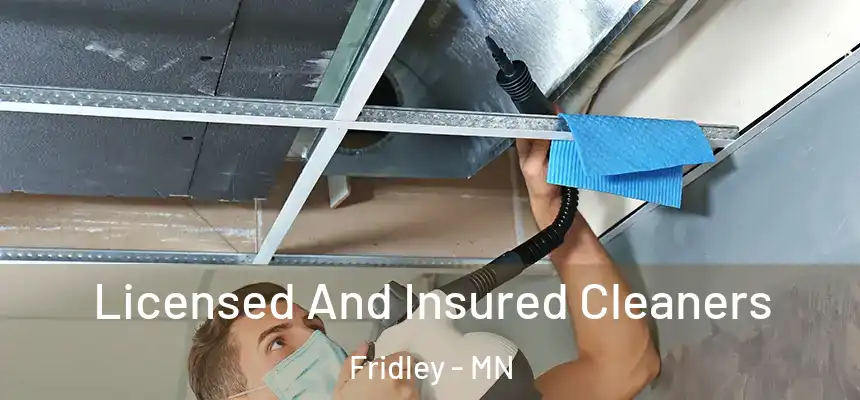  Licensed And Insured Cleaners Fridley - MN