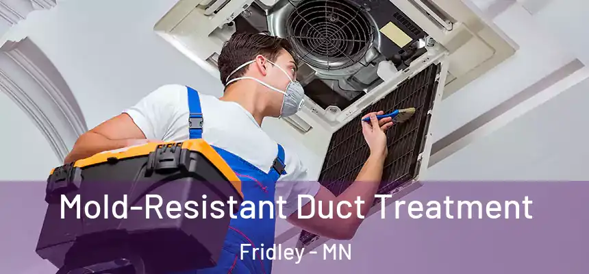 Mold-Resistant Duct Treatment Fridley - MN
