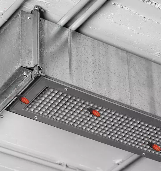 Affordable Insect Removal from Air Ducts in Fridley, MN