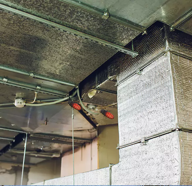 Why Homeowners & Businesses Trust Us Fridley, MN?